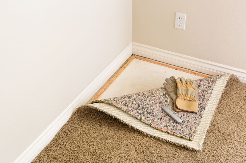 Carpet Foam Replacement in Olathe, KS
