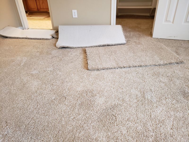 Carpet Repair Service in Overland Park, KS