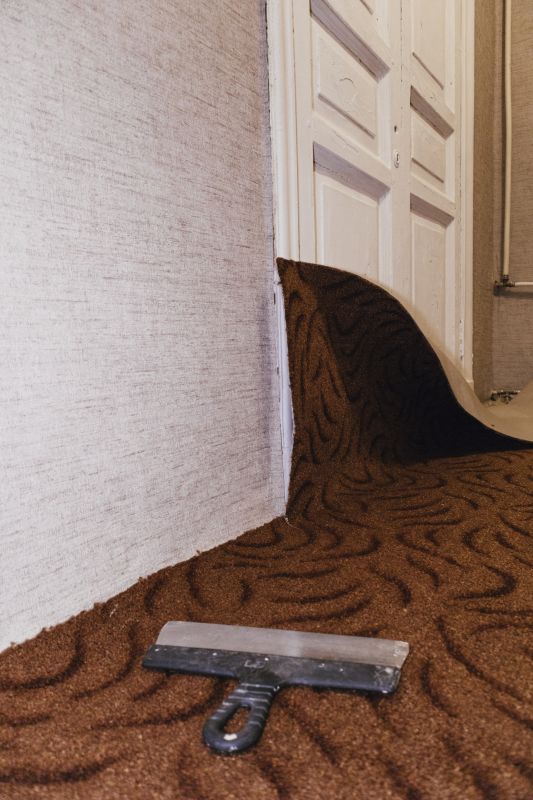 Carpet Repair Service in Littleton, CO