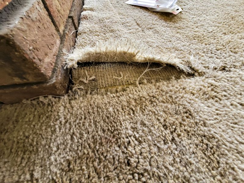 Residential Carpet Repair in Alpharetta, GA