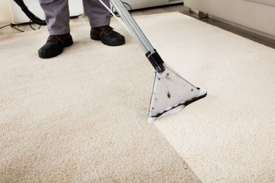 Professional Carpet Cleaning Process